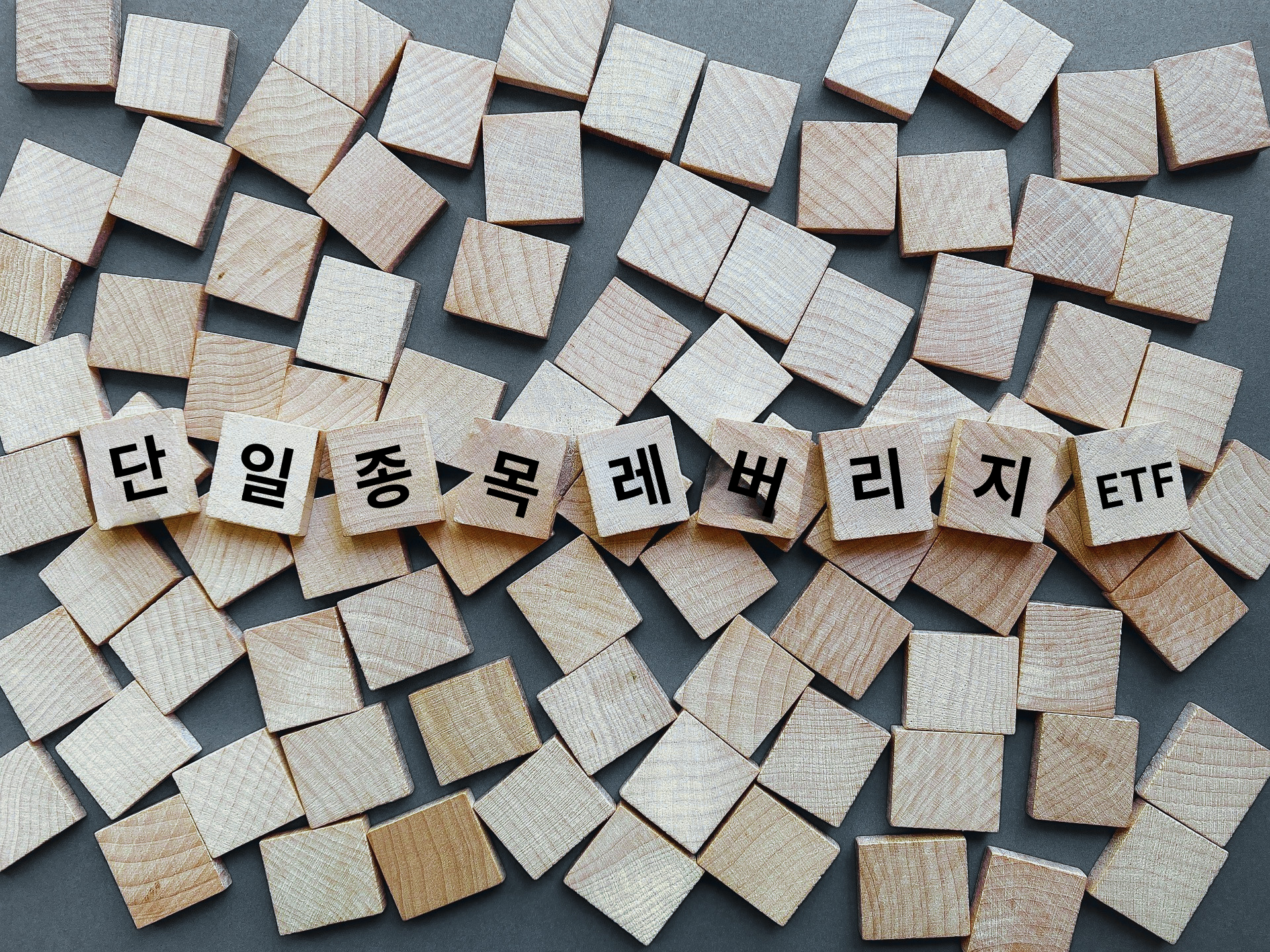 증시 변동성 증폭기 (단일종목 레버리지 ETF)
