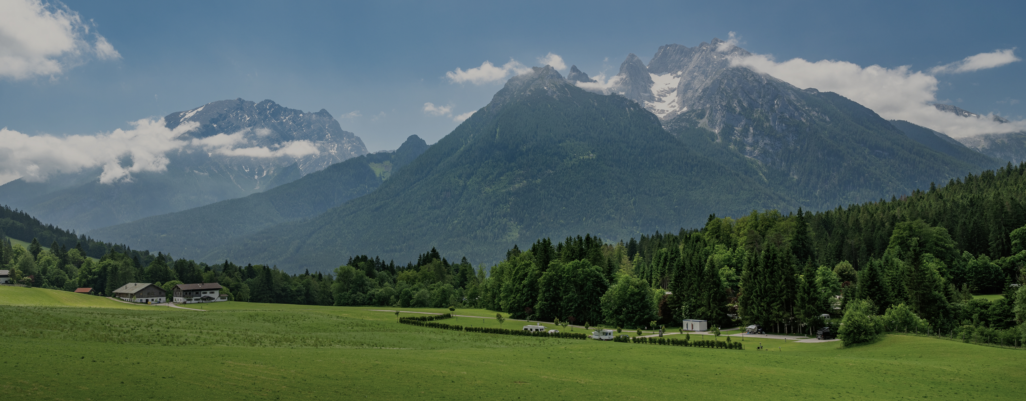 growth fund visual image