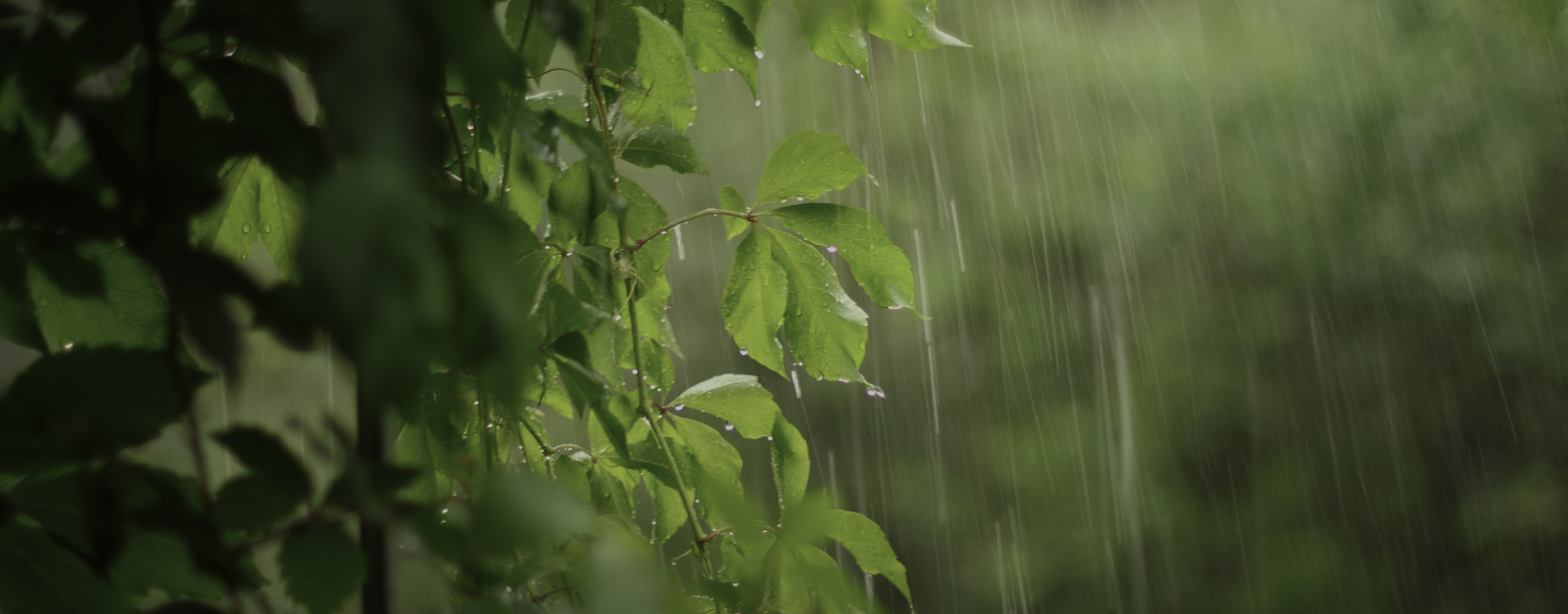 value fund visual image